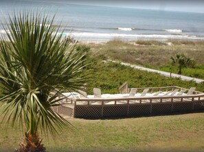 Un espacio de descanso en la playa con vista al océano, rodeado de vegetación y una palmera.