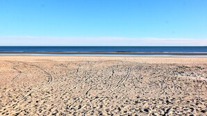 A wide sandy beach with visible tire tracks and a clear view of the ocean. - Ocean front condo with amazing ocean views! (Hilton Head Island)