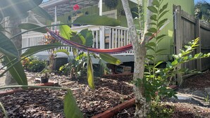 A green house with a porch, surrounded by plants and a hammock. - Beautifully remodeled home steps away from the Beach! (Jacksonville Beach)