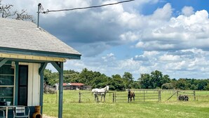 A covered outdoor seating area with a table and chairs, a fenced pasture with horses, and a building with a red roof in the background.