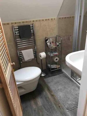 Shower, hair dryer, towels
