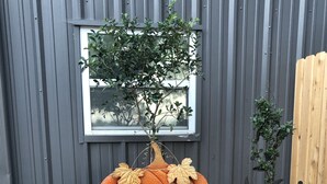 Un jardin avec une grande citrouille décorative, deux plantes en pot et une fenêtre en arrière-plan.