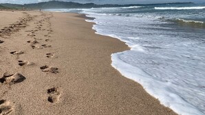 Ein sandiger Strand mit Fußspuren, die zum Wasser führen, ein klarer Himmel und eine ferne Küstenlinie.