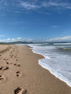 Beach nearby, beach towels - Casa Lirica 4-Bedroom Home w/ Salt Water Pool @ Playa Grande Beach (Palm Beach Estates)