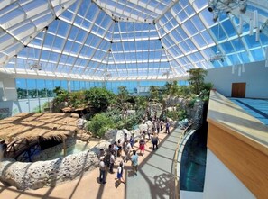 A large indoor space with a glass ceiling, a central water feature, and a variety of plants.