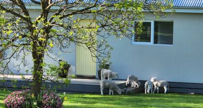 Farm stay Guesthouse