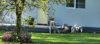 Farm stay Guesthouse