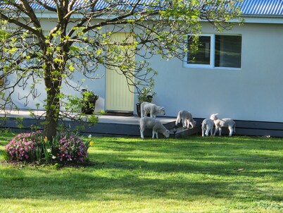 Farm stay Guesthouse