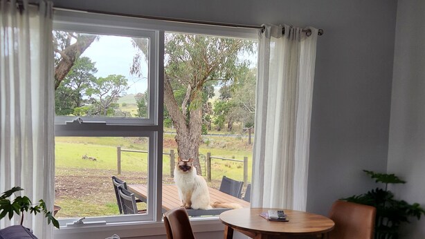 A room with a large window, a sofa, a table, and chairs. - Farm stay Guesthouse (Gnarwarre)