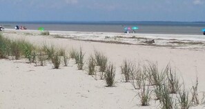 Playa en los alrededores, camastros y toallas de playa 
