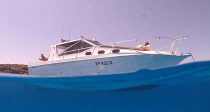 Egadi Islands Boat Excursions