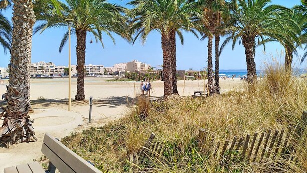 Een strand met palmbomen, een houten bankje en een heldere lucht.