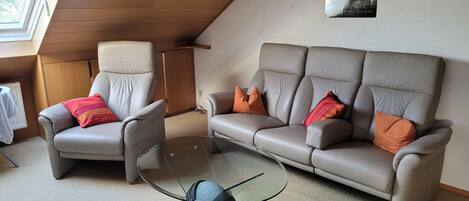 Fernseher, Stereoanlage