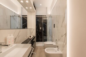 Shower, hair dryer, bidet, towels