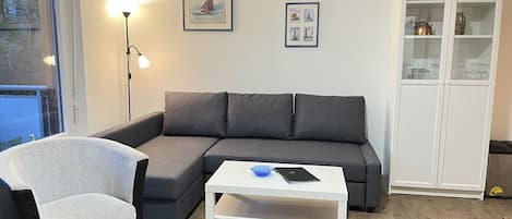 TV, ping pong, books, stereo