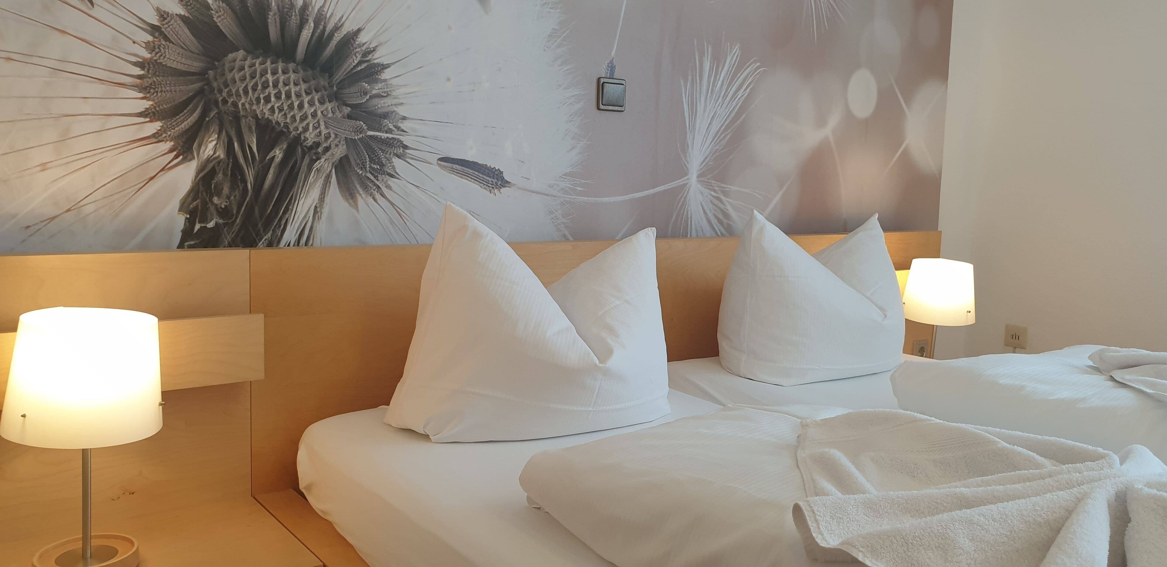 Comfort Apartment, Ensuite, Garden View (Sonnenterrasse)