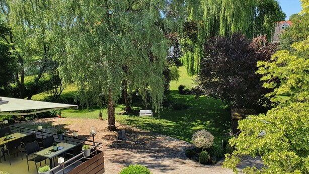 A courtyard with a dining area, a bench, and a small garden with a tree and a bush.