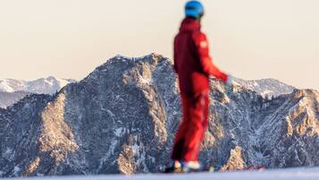 Bermain ski