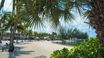 A beach with palm trees, a pool, and a building in the background.