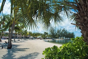 A beach with palm trees, a pool, and a building in the background.