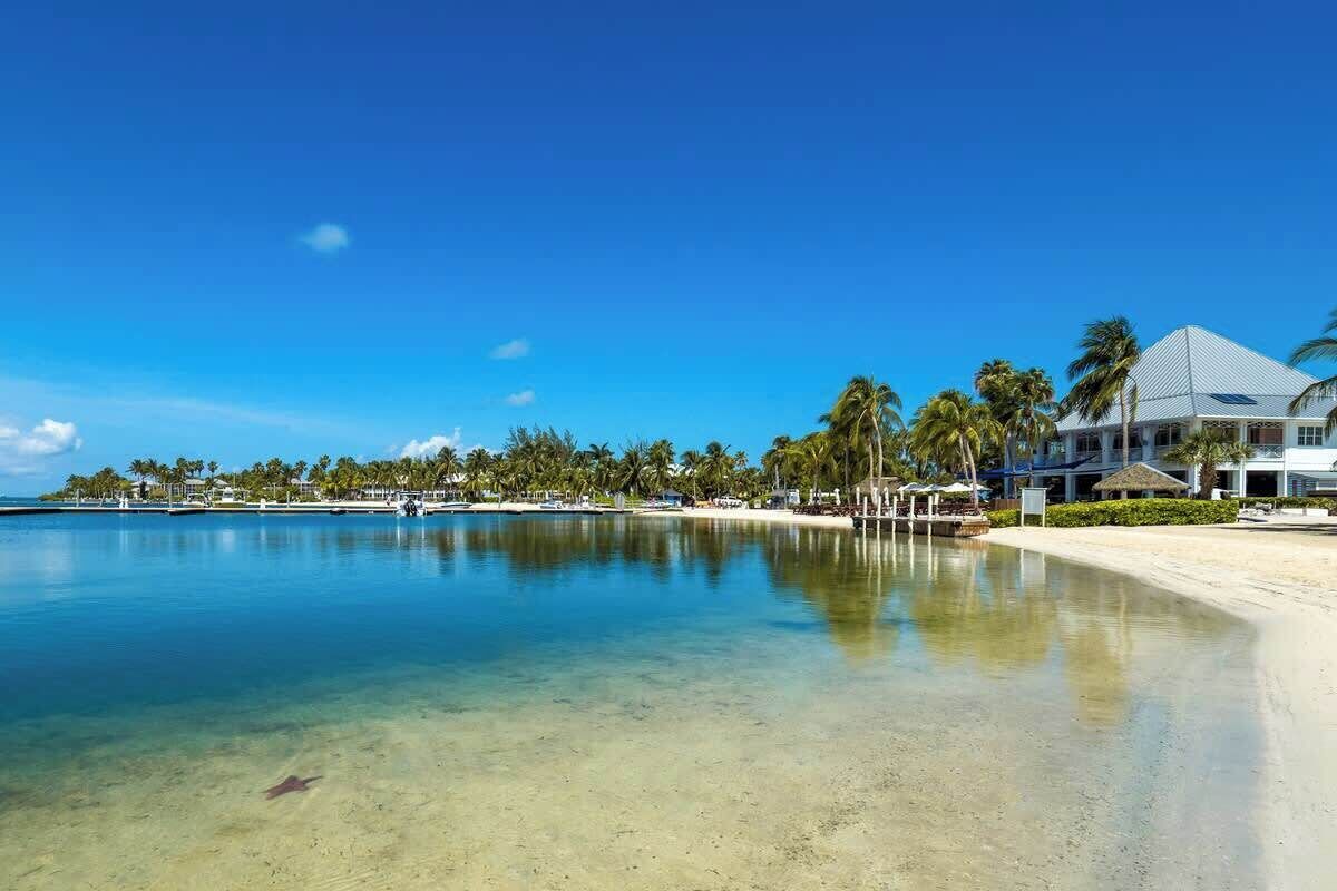 A beach resort with a clear pool, palm trees, and a large building with a white roof.