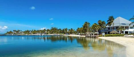 A beach resort with a clear pool, palm trees, and a large building with a white roof.