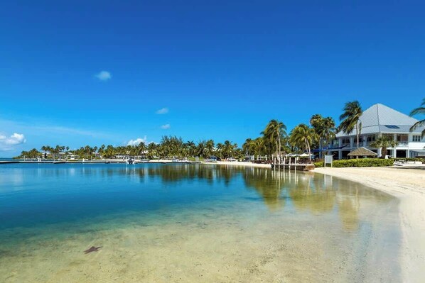 A beach resort with a clear pool, palm trees, and a large building with a white roof.