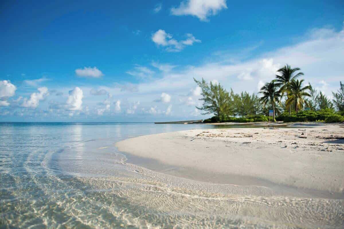 Ein Strand mit klarem Wasser, sandigem Ufer und Palmen.