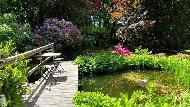 A wooden deck with a table and chairs, surrounded by lush greenery and a pond. - Vacation home in the Elbtalaue to feel good all around (Dömitz OT Rüterberg)