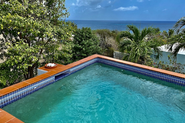 Poolside view