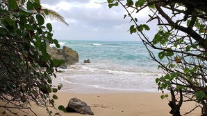 Una playa con afloramientos rocosos y vegetación densa.