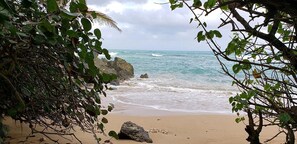 Plage à proximité, chaises longues, serviettes de plage