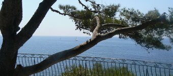 Villa Contemporaine , Piscine, Gazonnée Plantée D'oliviers , Plages 15' sud