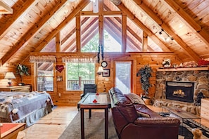 TV connectée, cheminée, jeux vidéo, lecteur de DVD