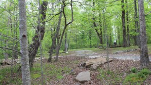 A forested area with a dirt path, rocks, and trees. - Luxury 5th Wheel Glamping In Style In Historic Mentone,  Alabama (Mentone)