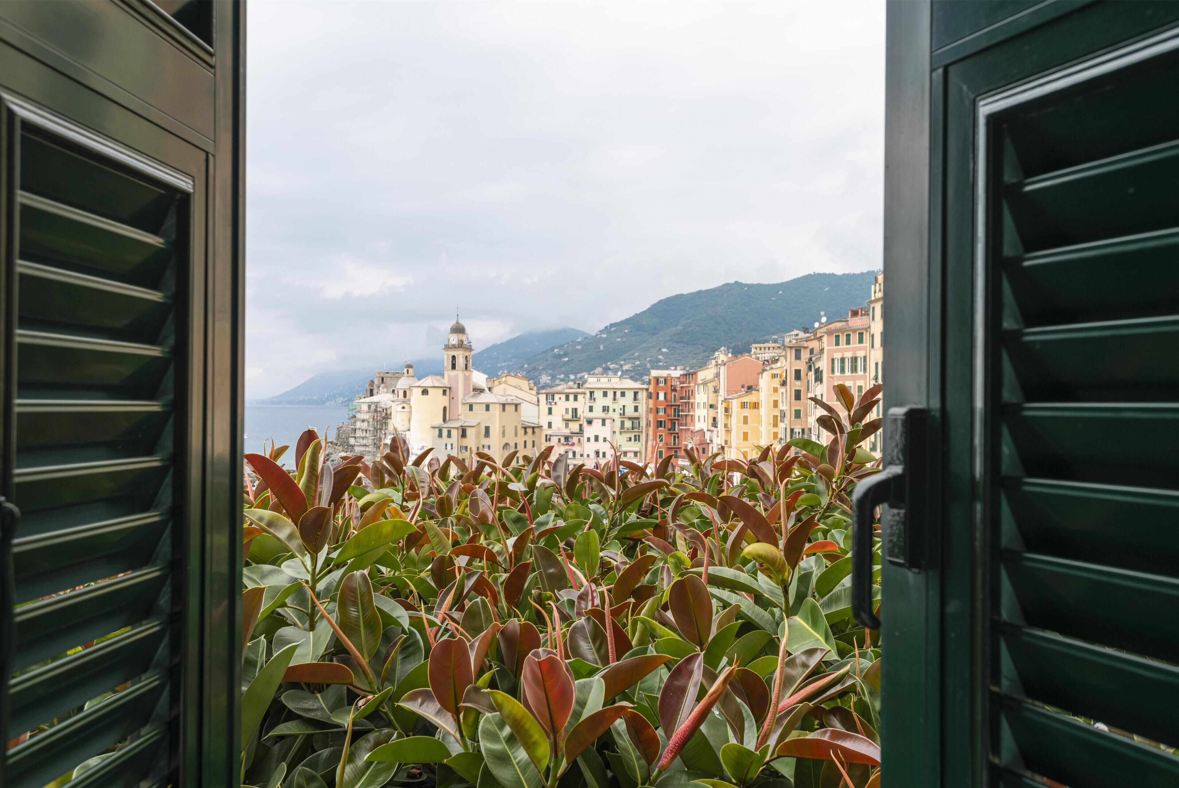 A view through a window with shutters, revealing a balcony with plants, a coastal townscape, and a mountain in the background.