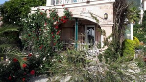A two-story building with a balcony, surrounded by lush greenery and flowering plants.