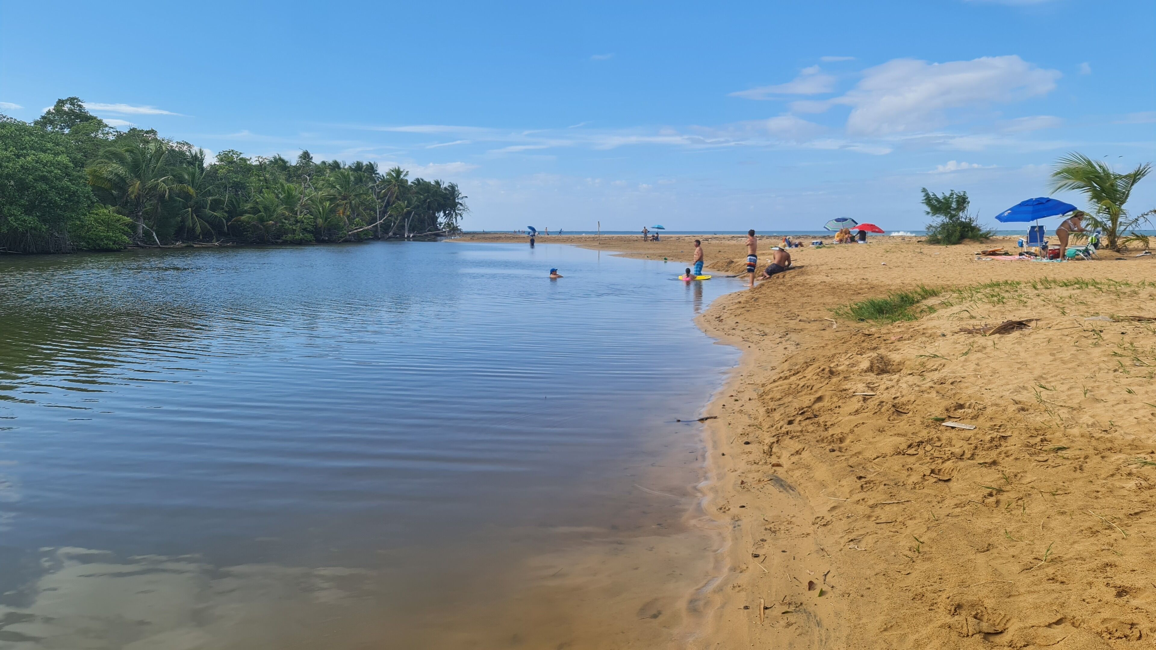 Ein Strand mit ruhigem Wasser, sandigem Ufer und Palmen.