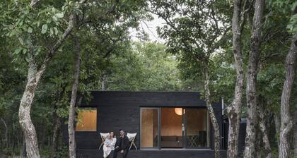 Catskills Modern Cabin Featured by Dwell Mag