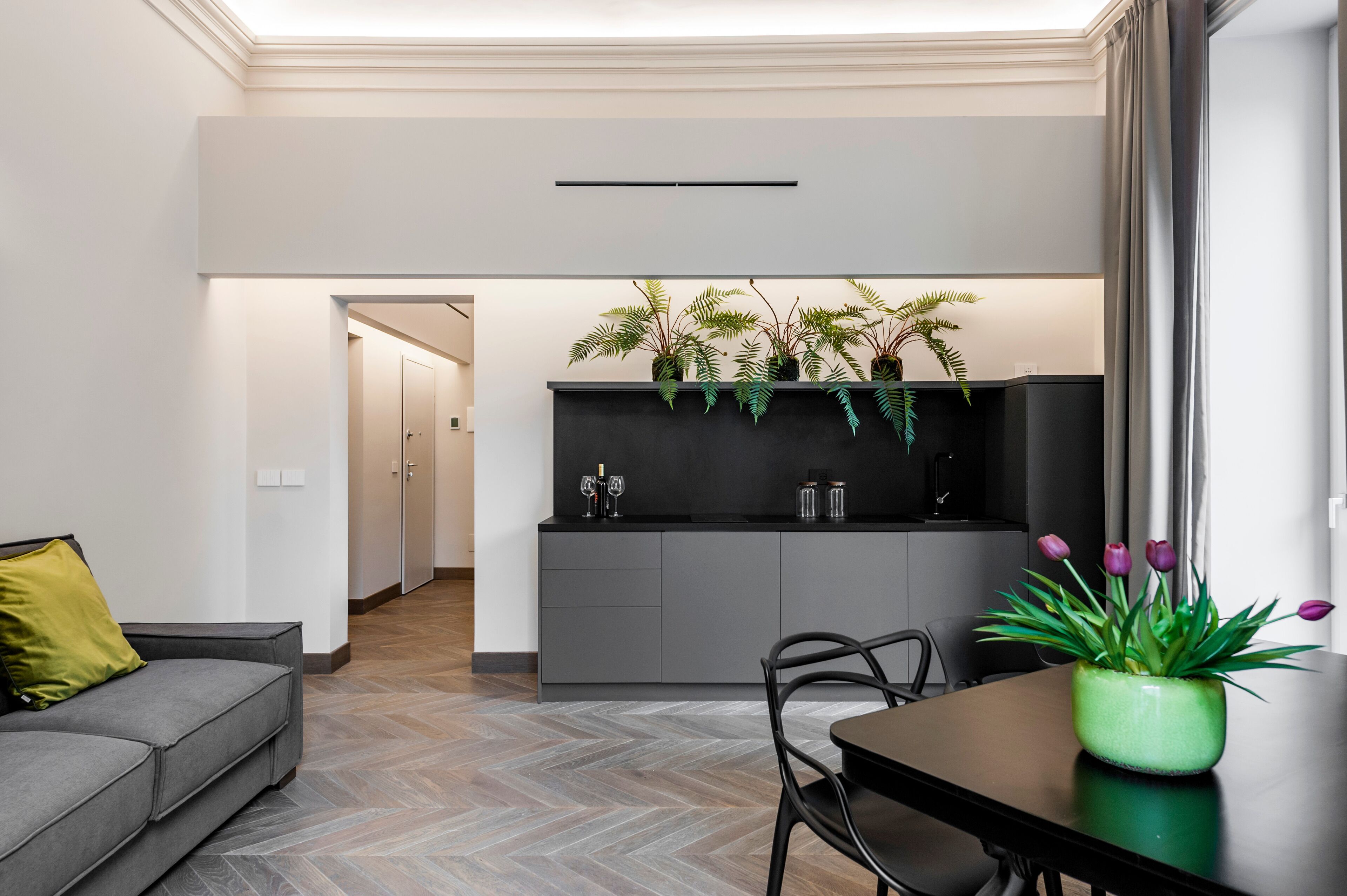 Una cocina moderna con encimera negra, armarios grises y una planta en maceta con hojas verdes.