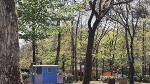 A small blue cabin with a porch, surrounded by trees in a park setting. - Village of 10 lodgings with heated outdoor swimming pool, restaurant on 1 hectare (Calviac en Périgord)