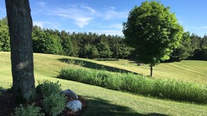 Ein gepflegter Rasen mit einem großen Baum und Sträuchern, umgeben von bewaldeter Landschaft.