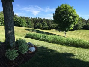 Property grounds - Ultimate privacy beside Sleeping Bear Dunes National Park, 3 miles to Empire (Honor)