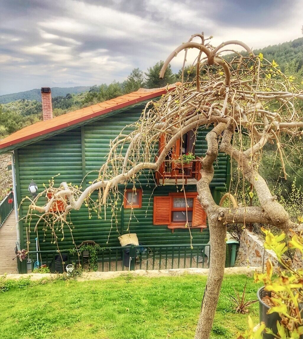 - Dağ Evi -