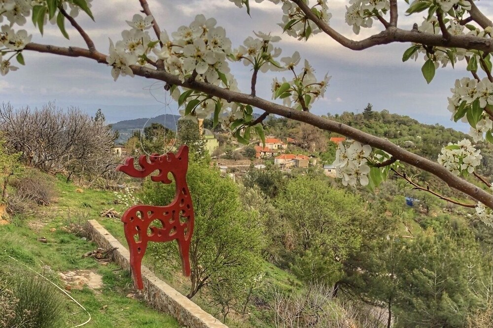 - Dağ Evi -