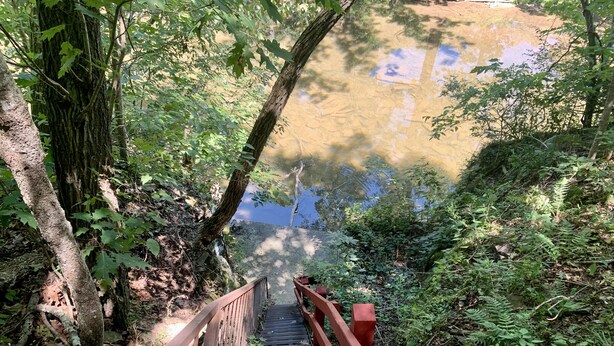 Una escalera de madera baja hacia una masa de agua, rodeada de follaje denso y una barandilla roja.