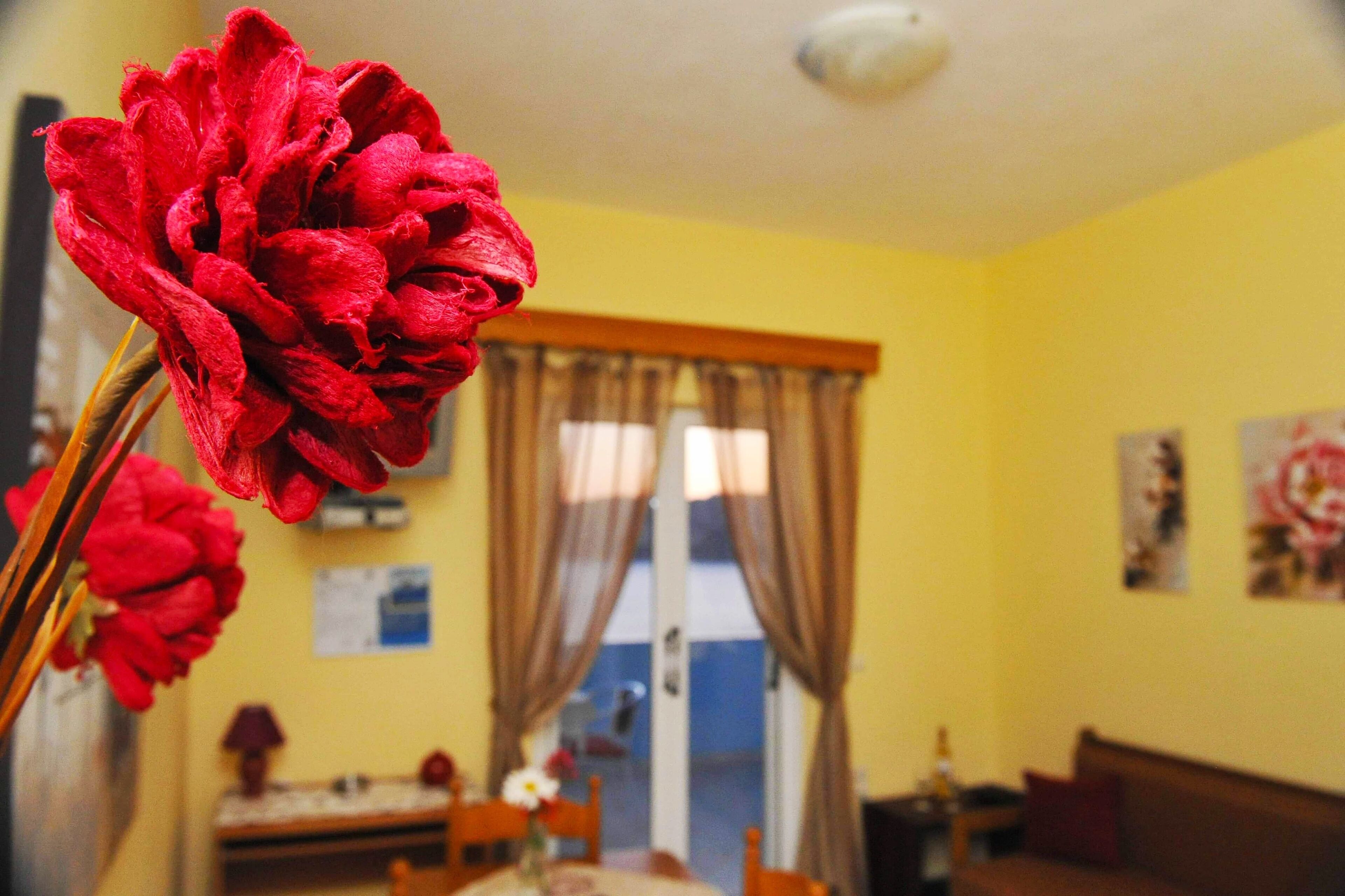 Άνετο διαμέρισμα, λίγα λεπτά από την παραλία, Κέρκυρα