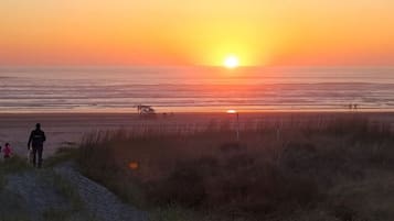 Vlak bij het strand