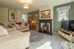 TV, fireplace, DVD player