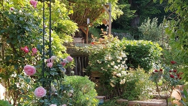 En have med forskellige planter og blomster, en træsti og en stenvæg.